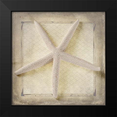 Starfish Black Modern Wood Framed Art Print by LightBoxJournal