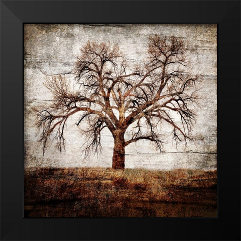 Cottonwood Tree Part 01 Black Modern Wood Framed Art Print by LightBoxJournal
