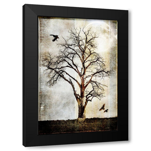 Cottonwood Tree Part 02 Black Modern Wood Framed Art Print with Double Matting by LightBoxJournal