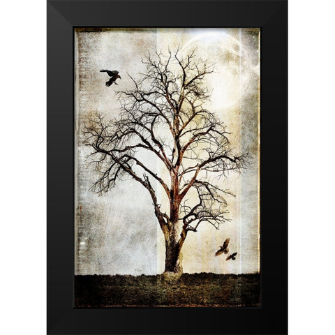 Cottonwood Tree Part 02 Black Modern Wood Framed Art Print by LightBoxJournal