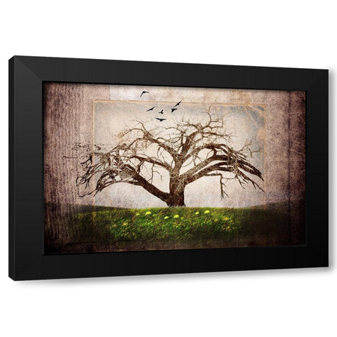 Cottonwood Tree Part 03 Black Modern Wood Framed Art Print with Double Matting by LightBoxJournal