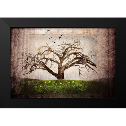 Cottonwood Tree Part 03 Black Modern Wood Framed Art Print by LightBoxJournal