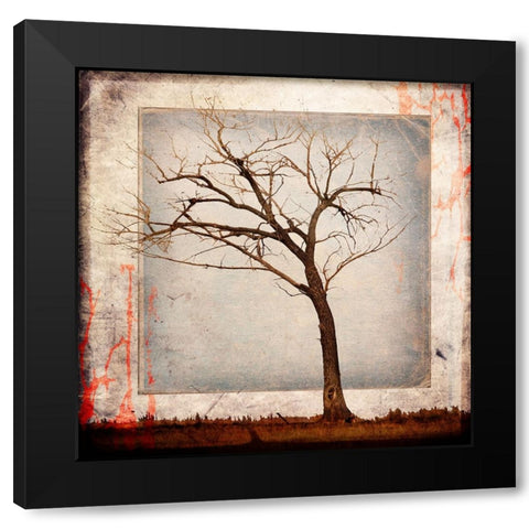 Cottonwood Tree Part 05 Black Modern Wood Framed Art Print by LightBoxJournal