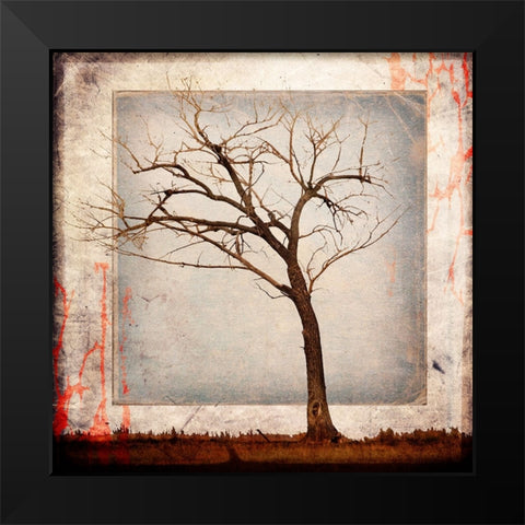 Cottonwood Tree Part 05 Black Modern Wood Framed Art Print by LightBoxJournal