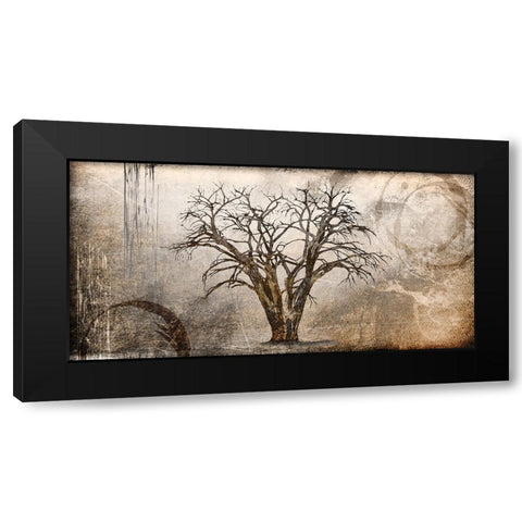 Cottonwood Tree Part 07 Black Modern Wood Framed Art Print by LightBoxJournal