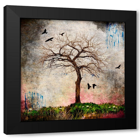 Cottonwood Tree Part 08 Black Modern Wood Framed Art Print with Double Matting by LightBoxJournal