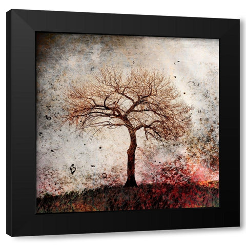 Cottonwood Tree Part 09 Black Modern Wood Framed Art Print by LightBoxJournal