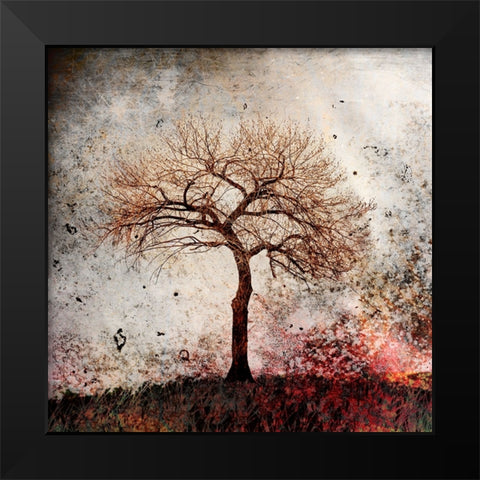 Cottonwood Tree Part 09 Black Modern Wood Framed Art Print by LightBoxJournal