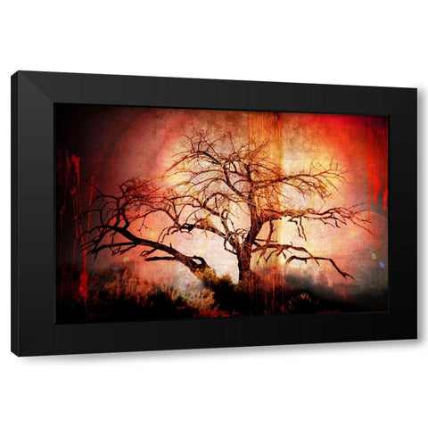 Cottonwood Tree Part 10 Black Modern Wood Framed Art Print by LightBoxJournal