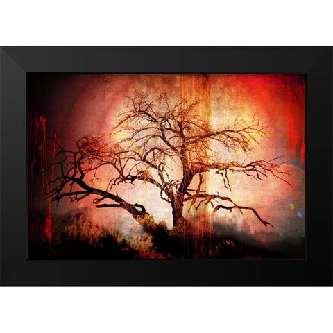 Cottonwood Tree Part 10 Black Modern Wood Framed Art Print by LightBoxJournal