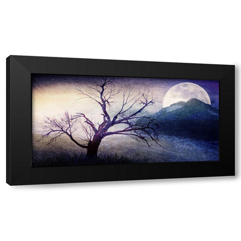 Cottonwood Tree Part 11 Black Modern Wood Framed Art Print by LightBoxJournal