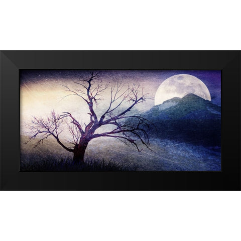 Cottonwood Tree Part 11 Black Modern Wood Framed Art Print by LightBoxJournal