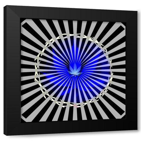 Pot 6 Black Light 2 Black Modern Wood Framed Art Print with Double Matting by LightBoxJournal