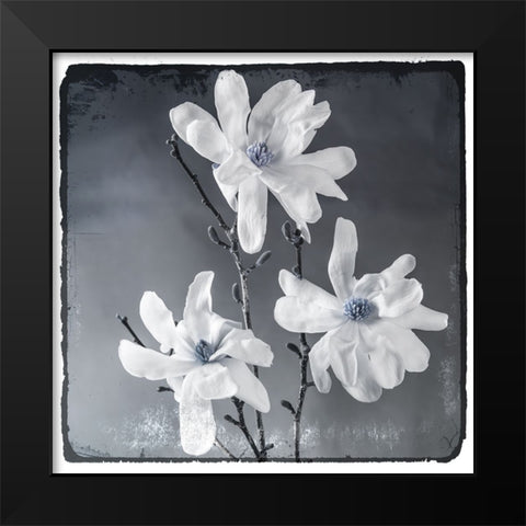 Blue Magnolia 2 Black Modern Wood Framed Art Print by LightBoxJournal