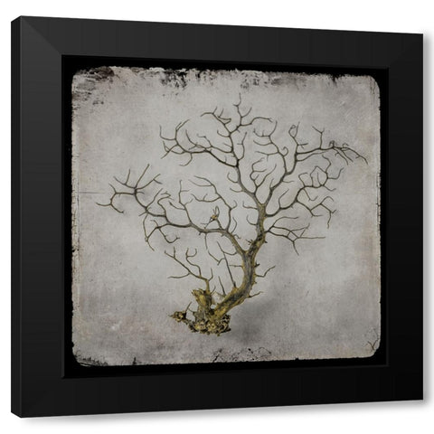 Golden Sea 2 Black Modern Wood Framed Art Print with Double Matting by LightBoxJournal