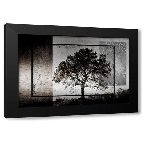July Tree Black Modern Wood Framed Art Print by LightBoxJournal