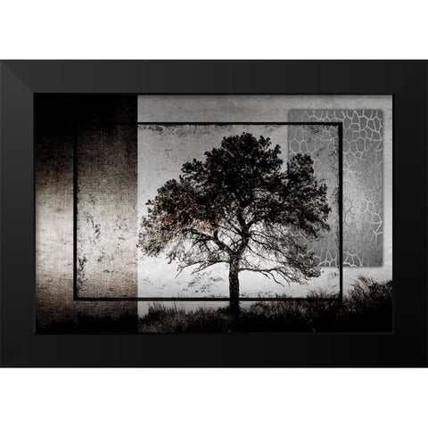 July Tree Black Modern Wood Framed Art Print by LightBoxJournal