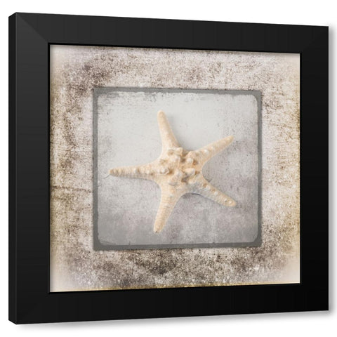 Stone Star 2 Black Modern Wood Framed Art Print with Double Matting by LightBoxJournal