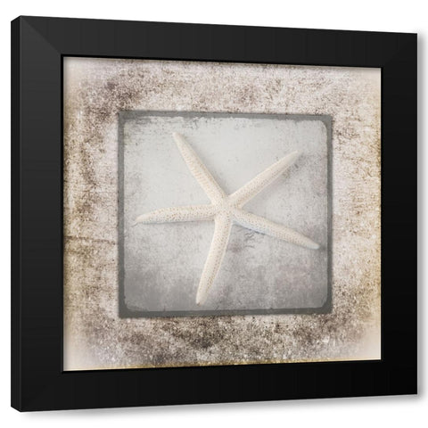 Stone Star 3 Black Modern Wood Framed Art Print by LightBoxJournal