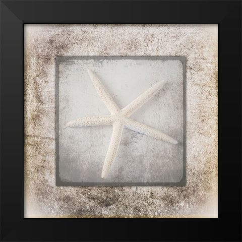 Stone Star 3 Black Modern Wood Framed Art Print by LightBoxJournal