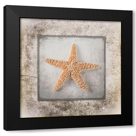 Stone Star Black Modern Wood Framed Art Print with Double Matting by LightBoxJournal