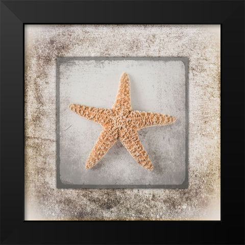 Stone Star Black Modern Wood Framed Art Print by LightBoxJournal