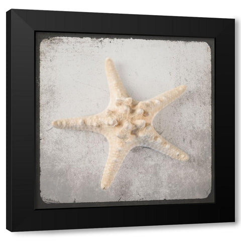 Vintage Natuical Set Black Modern Wood Framed Art Print with Double Matting by LightBoxJournal