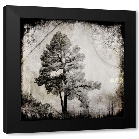 July Tree 12 Black Modern Wood Framed Art Print with Double Matting by LightBoxJournal