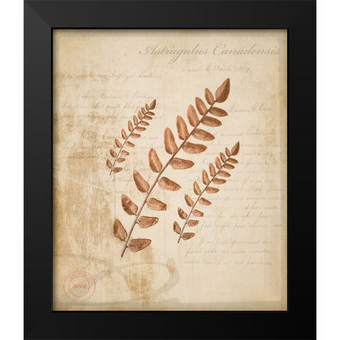 Scientific Plant 2 Black Modern Wood Framed Art Print by LightBoxJournal