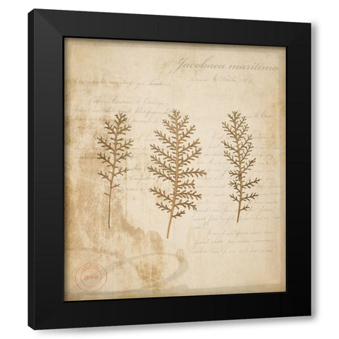 Scientific Plant 3 Black Modern Wood Framed Art Print by LightBoxJournal