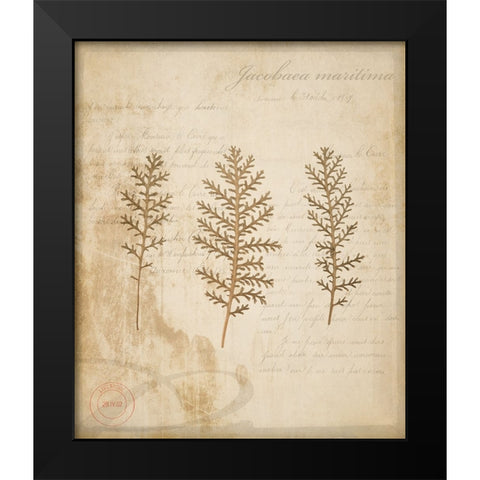 Scientific Plant 3 Black Modern Wood Framed Art Print by LightBoxJournal