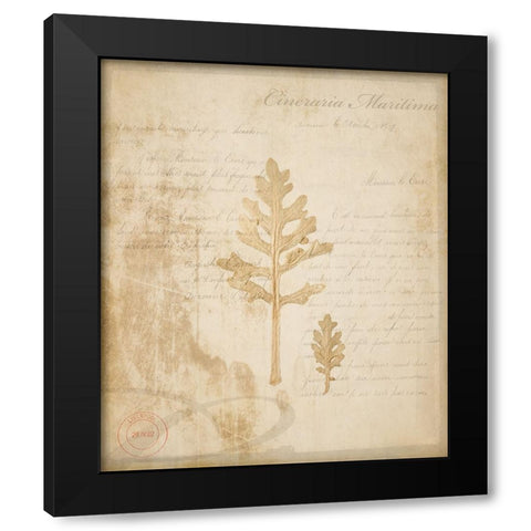 Scientific Plant 4 Black Modern Wood Framed Art Print with Double Matting by LightBoxJournal