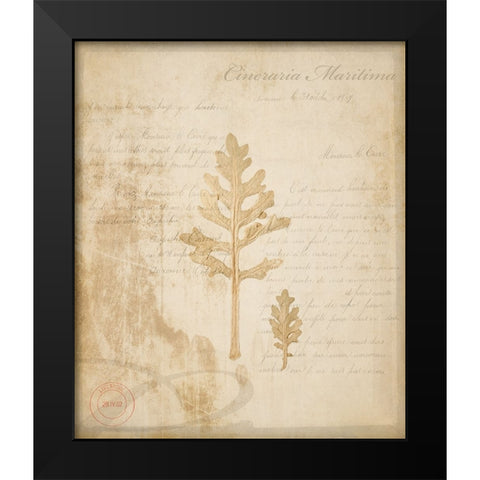 Scientific Plant 4 Black Modern Wood Framed Art Print by LightBoxJournal