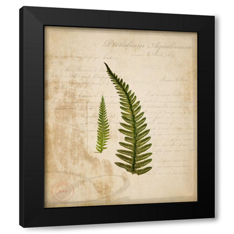 Scientific Plant 5 Black Modern Wood Framed Art Print by LightBoxJournal