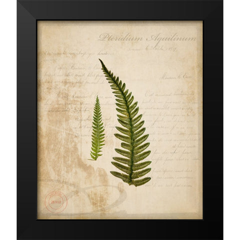 Scientific Plant 5 Black Modern Wood Framed Art Print by LightBoxJournal