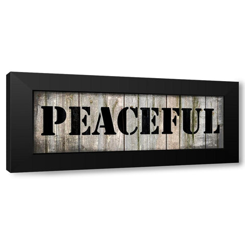 Country Sign 2 Black Modern Wood Framed Art Print with Double Matting by LightBoxJournal