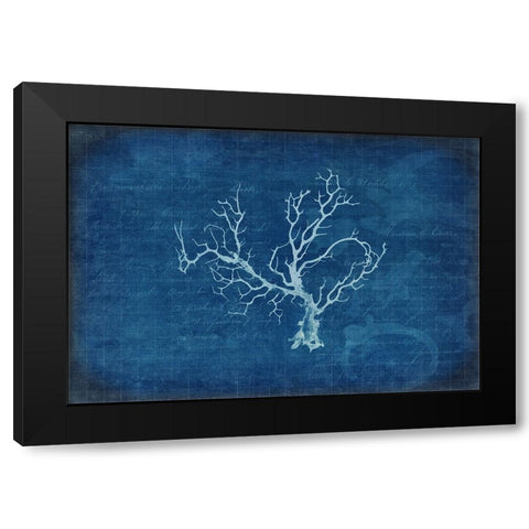 Gypsy Blue Cyanotype V1 Black Modern Wood Framed Art Print with Double Matting by LightBoxJournal