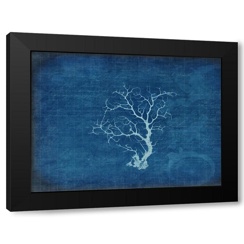 Gypsy Blue Cyanotype V2 Black Modern Wood Framed Art Print with Double Matting by LightBoxJournal