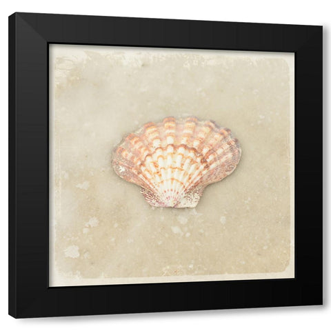 Gypsy Sea Brown 1 Black Modern Wood Framed Art Print by LightBoxJournal