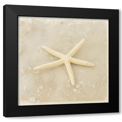 Gypsy Sea Brown 3 Black Modern Wood Framed Art Print with Double Matting by LightBoxJournal