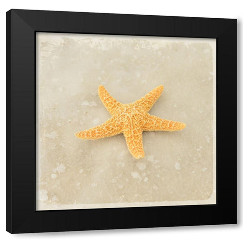 Gypsy Sea Brown 4 Black Modern Wood Framed Art Print with Double Matting by LightBoxJournal