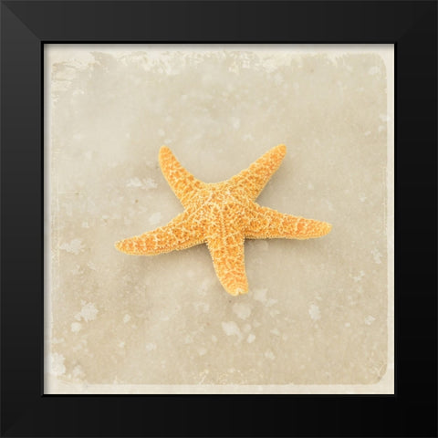 Gypsy Sea Brown 4 Black Modern Wood Framed Art Print by LightBoxJournal