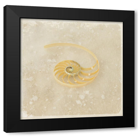 Gypsy Sea Brown 5 Black Modern Wood Framed Art Print with Double Matting by LightBoxJournal