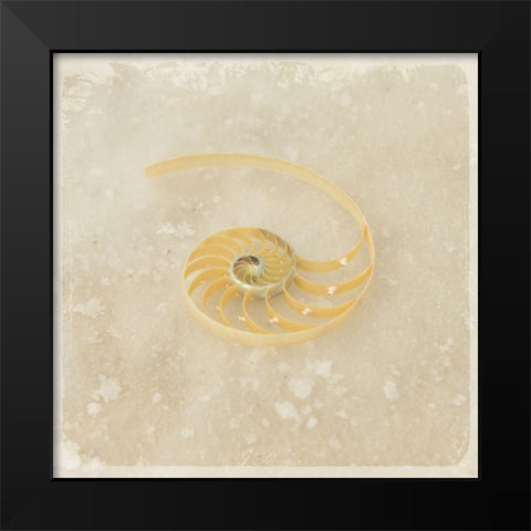 Gypsy Sea Brown 5 Black Modern Wood Framed Art Print by LightBoxJournal