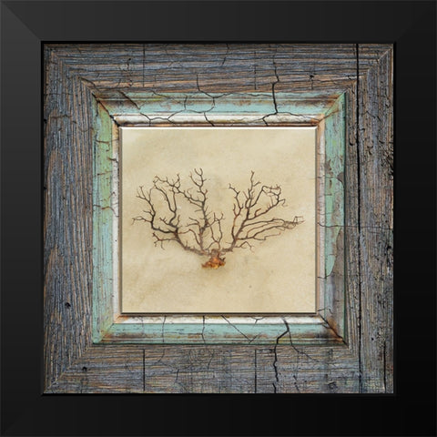 Gypsy Sea Framed 3 Black Modern Wood Framed Art Print by LightBoxJournal