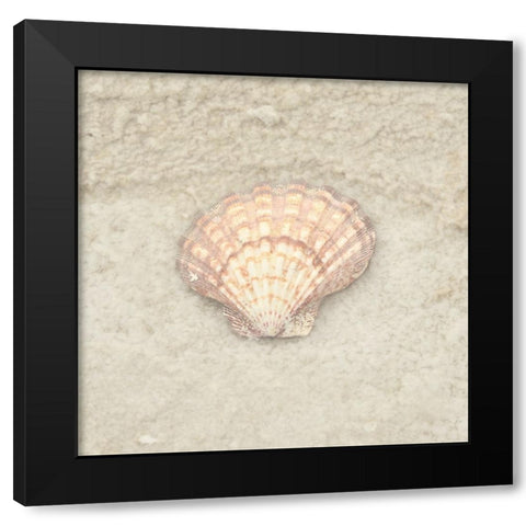 Gypsy Sea Life 4 Black Modern Wood Framed Art Print by LightBoxJournal