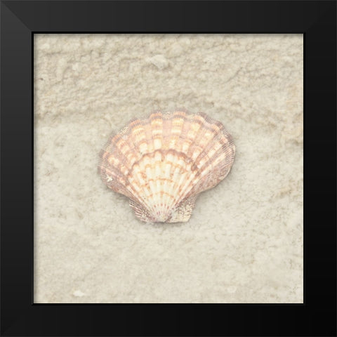 Gypsy Sea Life 4 Black Modern Wood Framed Art Print by LightBoxJournal