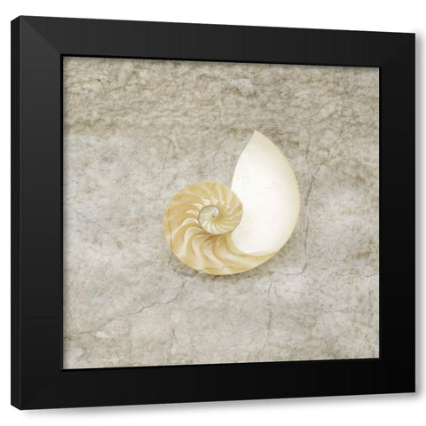 Gypsy Sea Life V1 Black Modern Wood Framed Art Print by LightBoxJournal