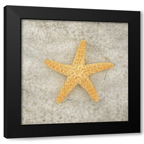 Gypsy Sea Life V2 Black Modern Wood Framed Art Print by LightBoxJournal