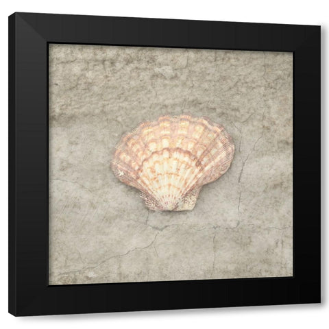 Gypsy Sea Life V3 Black Modern Wood Framed Art Print by LightBoxJournal